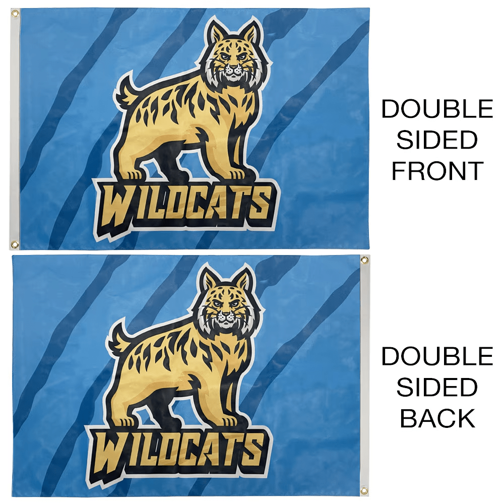 Custom Mesh Flags