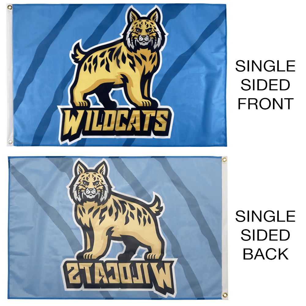 Custom Mesh Flags